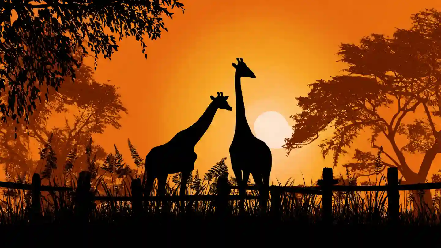 Silhouettes of giraffes standing in a lush enclosure against a warm, orange sunset, symbolizing peace.
