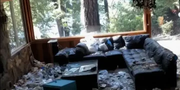 wreaked lake house