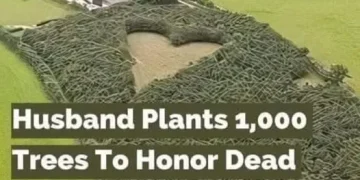 A heartfelt tribute turns into something unexpected