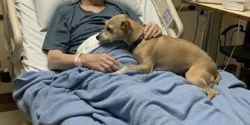 The Dog Who Kept His Promise