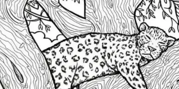 This tricky fish puzzle is baffling internet users