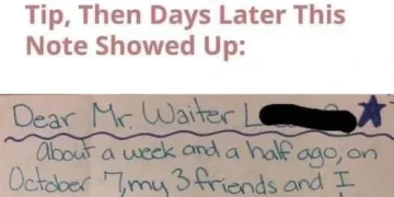 waiter upset feature