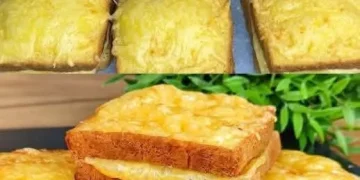 air fryer grilled sandwich