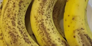 banana type for you