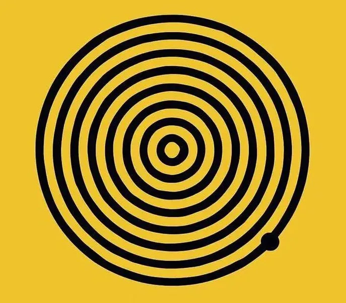 A simple, mesmerizing black and white image of swirling lines forming concentric circles, used as a visual puzzle.