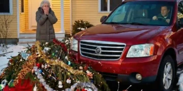 My neighbor ran over my tree with his luxury car