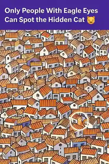 Zoomed reveal showing the hidden cat among rooftops