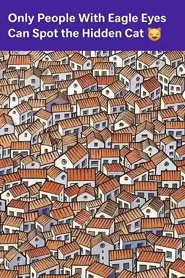Optical illusion village rooftops with a hidden cat