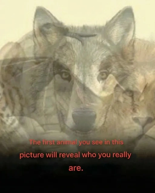 Optical illusion personality test with hidden animals