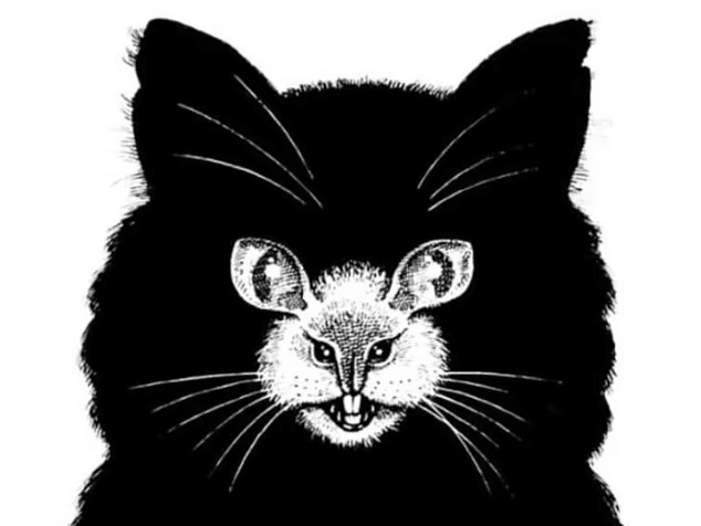 Black and white optical illusion showing a cat and a mouse