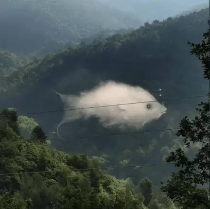 Landscape with a cloud forming the shape of a fish