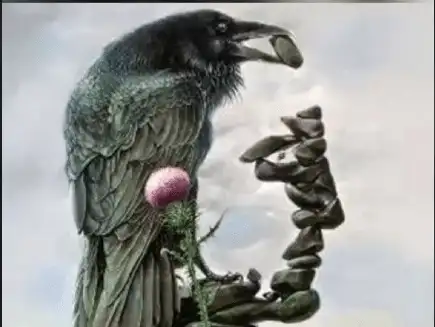 Optical illusion showing a raven and stones that forms a face