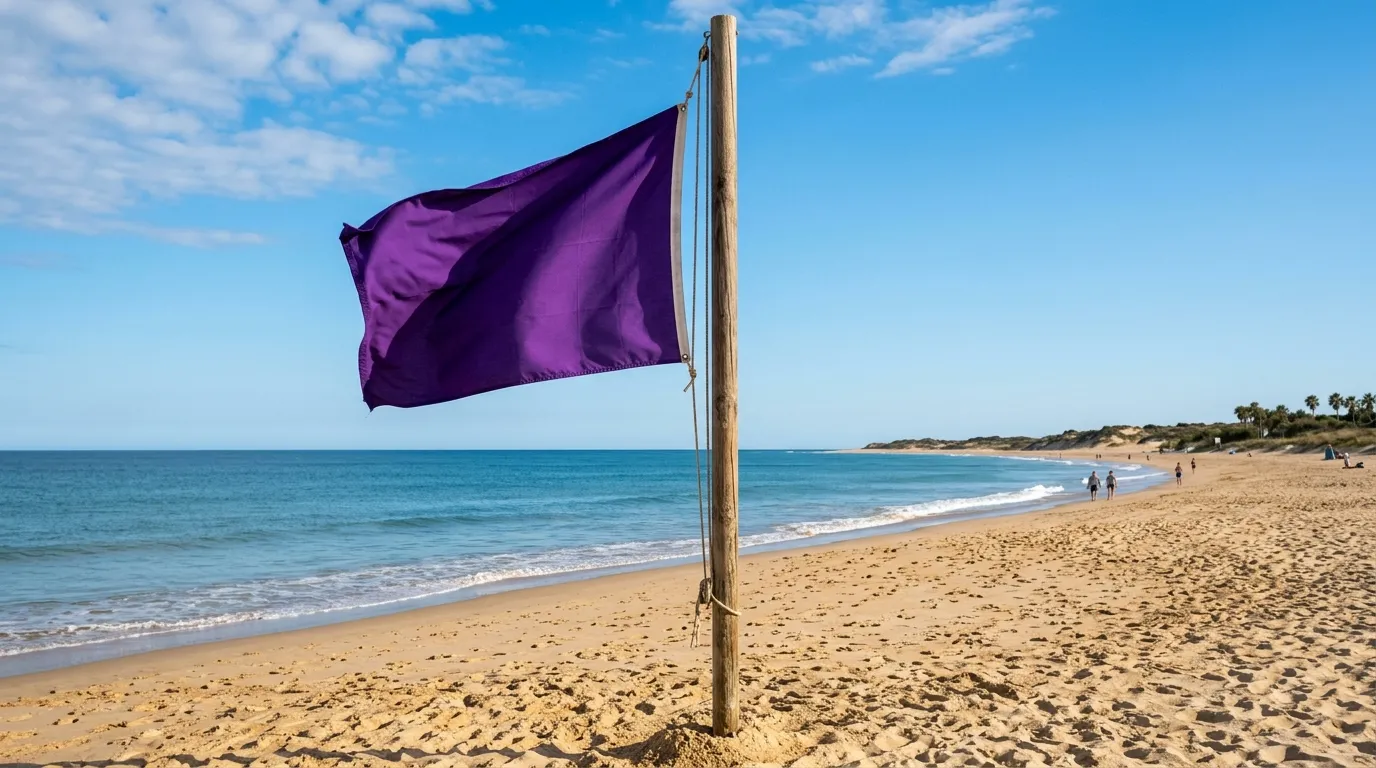 A purple warning flag waving gently on a sunny sandy beach