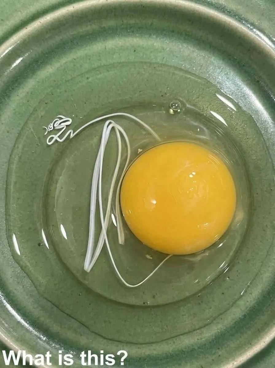 Close-up of a cracked egg in a bowl showing the white string chalaza